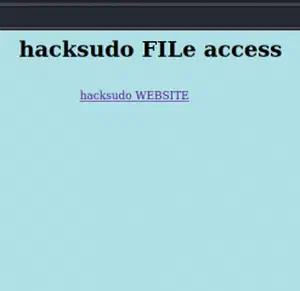 Hacksudo 2 Walkthrough - Vulnhub - Writeup