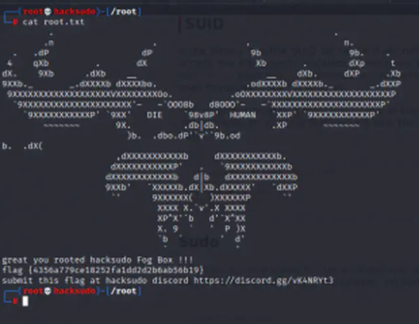 Hacksudo FOG Walkthrough - Writeup - Vulnhub