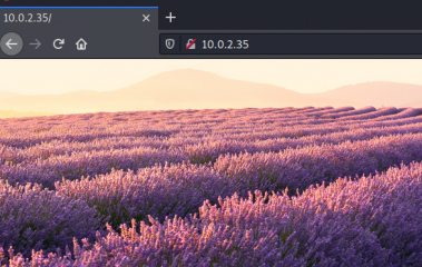 Lunchbreaker Walkthrough - Vulnhub - Writeup