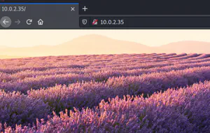 Lunchbreaker Walkthrough - Vulnhub - Writeup
