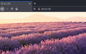 Lunchbreaker Walkthrough - Vulnhub - Writeup