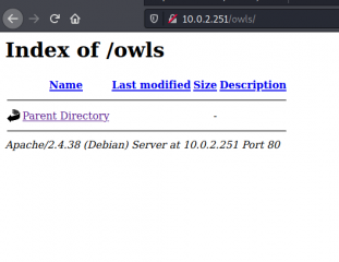 Momentum 2 Walkthrough - Vulnhub - Writeup