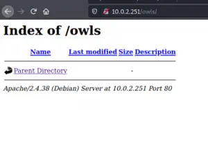 Momentum 2 Walkthrough - Vulnhub - Writeup