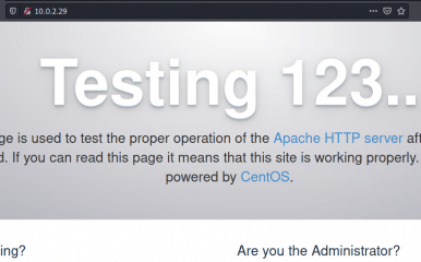 Phineas Walkthrough - Vulnhub - Writeup