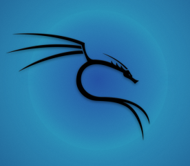 Upgrade to an intelligent reverse shell