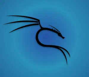 Upgrade to an intelligent reverse shell