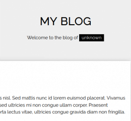 VulnCMS Walkthrough - Vulnhub - Writeup