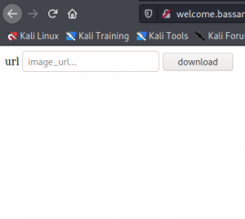 BassamCTF Walkthrough - Vulnhub - Writeup