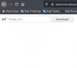 BassamCTF Walkthrough - Vulnhub - Writeup