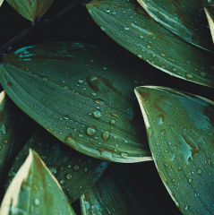 Funbox Under Construction Walkthrough