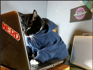 MoneyBox Walkthrough - Vulnhub - Writeup