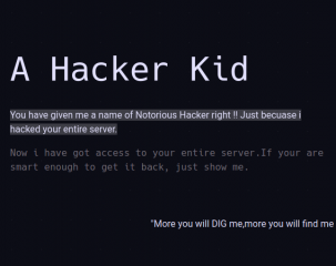 Hacker Kid Walkthrough - Vulnhub