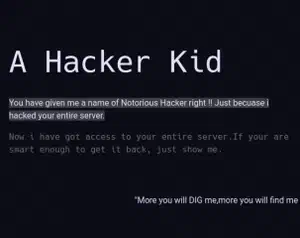 Hacker Kid Walkthrough - Vulnhub