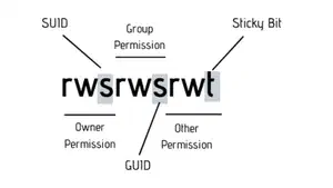 Suidy Walkthrough - HackMyVM - Writeup