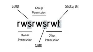 Suidy Walkthrough - HackMyVM - Writeup