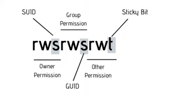 Suidy Walkthrough - HackMyVM - Writeup